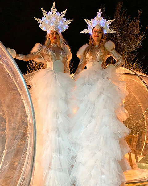 Echassiers lumineux Magie de Noël